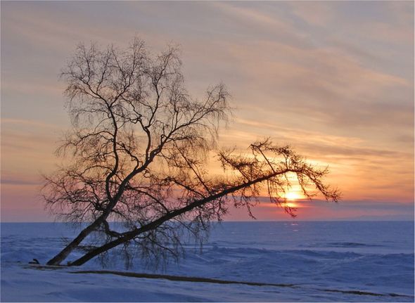 Фото: Байкал зимой