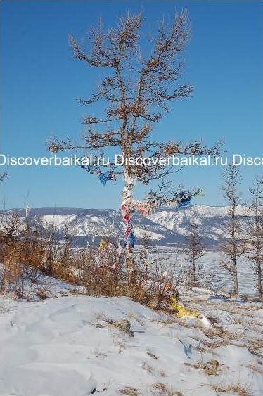 Ритуальные ленточки на дереве, остров Огой, озеро Байкал, зима 2010